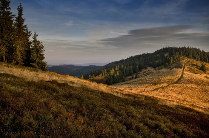 Bergwiese im letzten Abendlicht, dahinter bewaldete Hügelketten